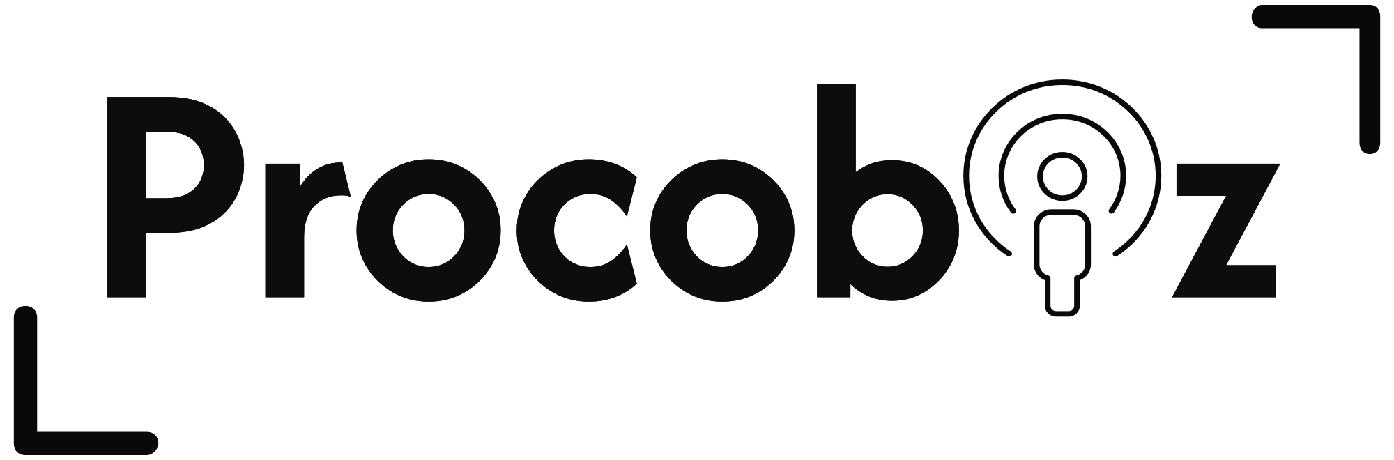 Procobiz Logo